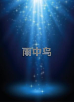 雨中鸟第43集